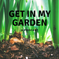 Episode #26, Mushroom Cultivation Methods with Dylan Martin