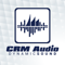 CRM Audio -- The Microsoft Business Applications Podcast