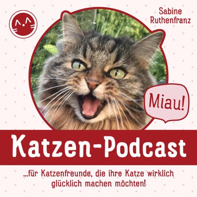 Miau Katzen Podcast Podbay