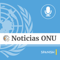 Noticias ONU