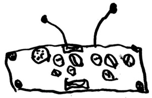 2020-11-29 Spare the Rock, Spoil the Child