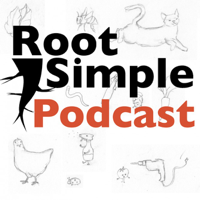 085 Rishi Kumar: Abundance in Suburbia