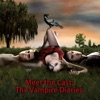 Meet the Cast: The Vampire Diaries artwork