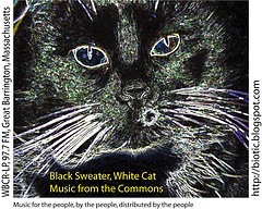 Black Sweater, White Cat