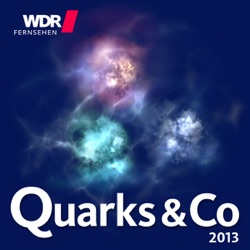 Quarks und Co 2013