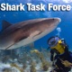 Think like a Shark Diver.