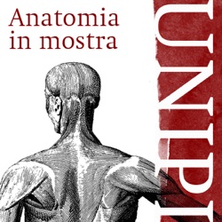Anatomia in mostra