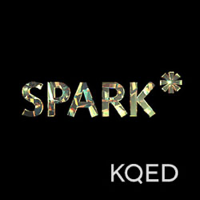 Spark: Richard Shaw