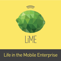 Life in the Mobile Enterprise podcast