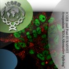 ICGEB 2nd Post-EURASNET Symposium "RNA Alternative Splicing" artwork