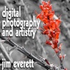 Digital Photography and Artistry artwork