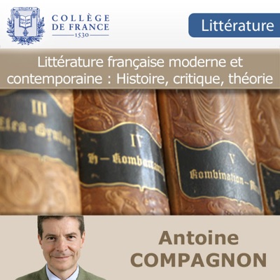 Littérature française moderne et contemporaine : Histoire, critique, théorie Littérature française moderne et contemporaine : Histoire, critique, théorie
