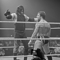 The Story of Wrestling