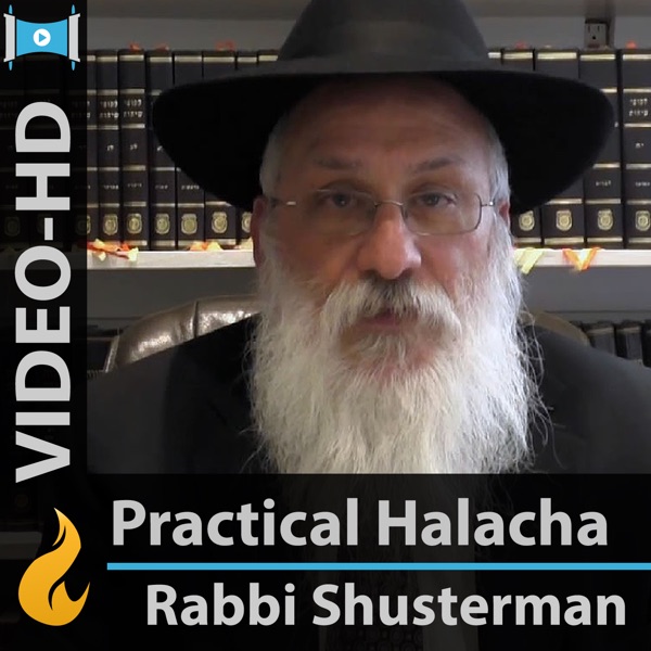 Practical Halachah on the Laws of Shabbat (Video-HIGH) Artwork