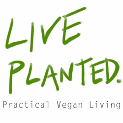 #159 Save Time, Money, & Food Waste w Toni of Plant Based on a Budget