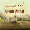 Urdu Adab - Dr S Naqvi