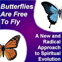 Butterflies24