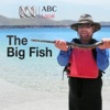 Big Fish