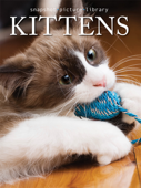 Kittens - Snapshot Picture Library