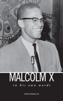 Nathan Lee - Malcolm X artwork