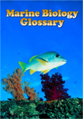 Marine Biology Glossary - Publish This