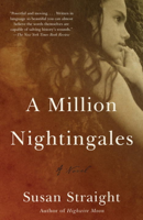 Susan Straight - A Million Nightingales artwork