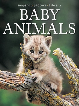 baby animals book