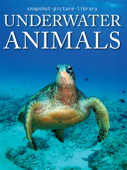 Underwater Animals - Snapshot Picture Library