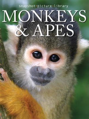 Monkeys & Apes