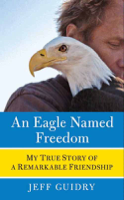 Jeff Guidry - An Eagle Named Freedom artwork
