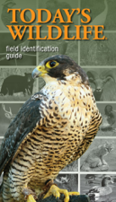 Today's Wildlife Field Identification Guide - Hunter Ed Cover Art