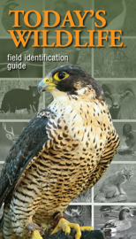 Today's Wildlife Field Identification Guide