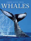 Whales - Snapshot Picture Library