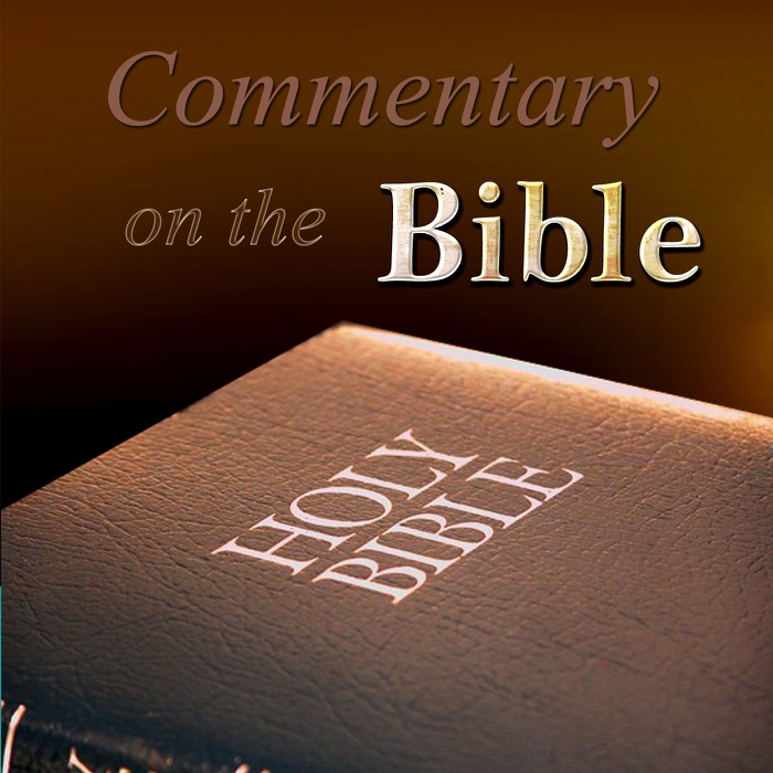 Commentary on the Bible