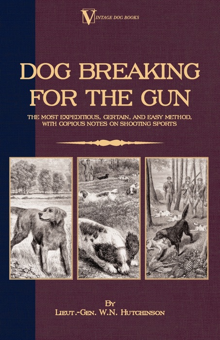 Dog Breaking for the Gun