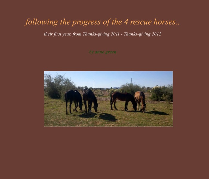 Following the progress of the 4 rescue horses...
