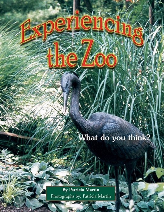Experiencing the Zoo