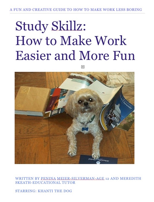 Study Skillz: How to Make Work Easier and More Fun