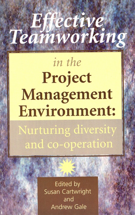 Effective Teamworking In the Project Management Environment