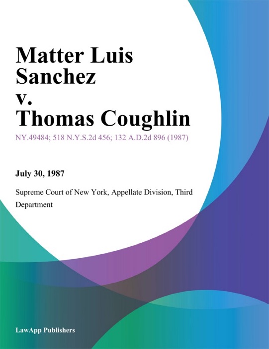 Matter Luis Sanchez v. Thomas Coughlin