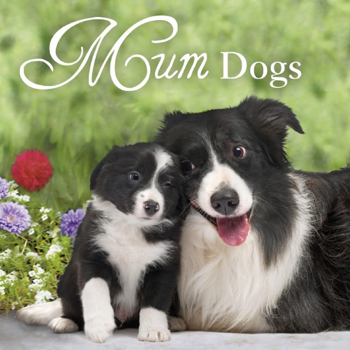 Mum Dogs