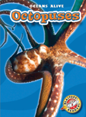 Octopuses - Ann Herriges