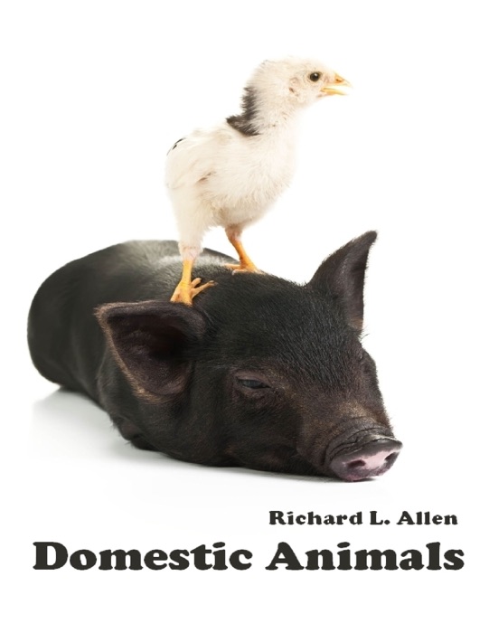 Domestic Animals (Illustrated)