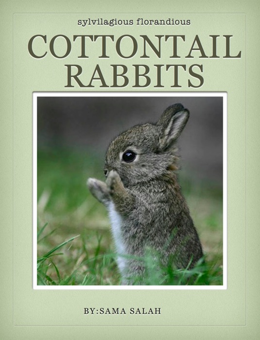 Cottontail Rabbits