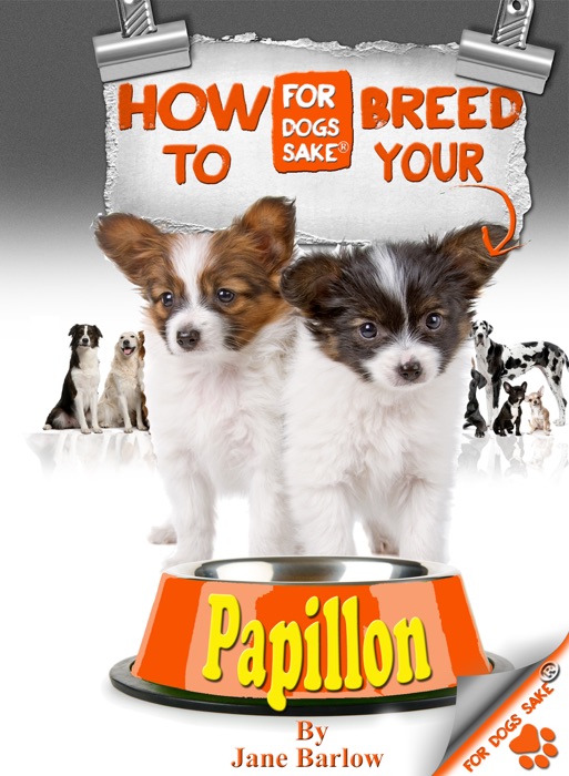 How to Breed Your Papillon Responsibly