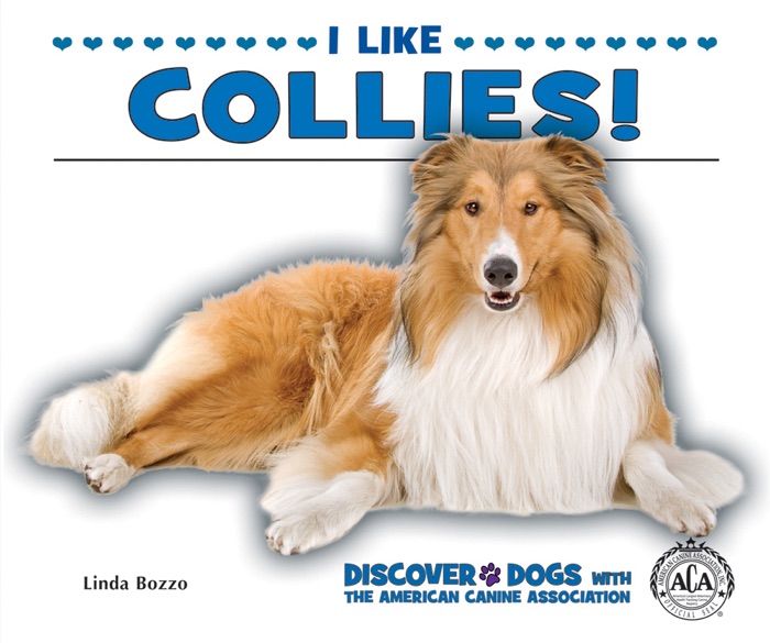 I Like Collies!