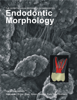 Endodontic Morphology - Markus Haapasalo, Unni Endal, Ya Shen, Stéphane Simon, Fabricio Teixeira, Ellen Park, Yuan Gao & James Gutmann