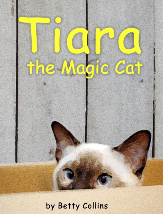 Tiara, the Magic Cat