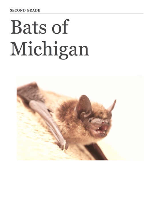 Bats of Michigan