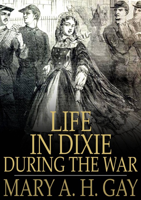 Life In Dixie During the War